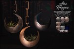 Aloe Hanger MAIN