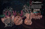 Aquarion Coral Decor&nbsp;MAIN