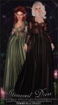 Stoneveil Dress -MAIN-